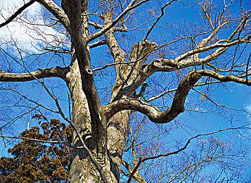 《燕云十六声》移动端已上线 官方承诺会做好优化